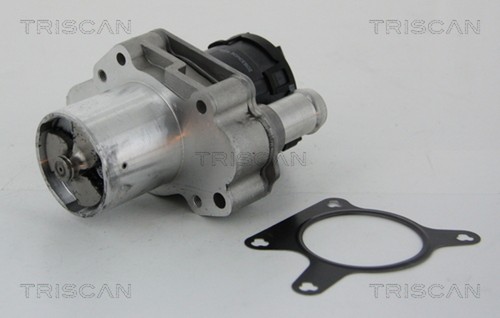 Triscan agr ventil 8813 23031 - agr,
