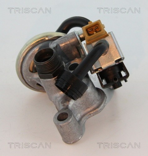 Agr ventil triscan 8813 - agr,