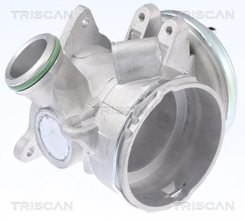 Triscan agr ventil 8813 - triscan,
